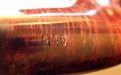 Stanwell City Pfeife 246 Dark