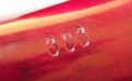 Stanwell Pfeife Featherweight 303 Red Polish