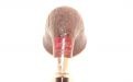 Stanwell Pfeife H. C. Andersen 2. Sand ohne Filter